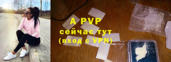 индика Алексин