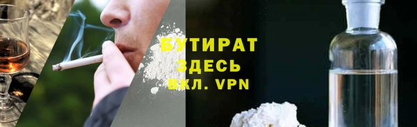 индика Алексин