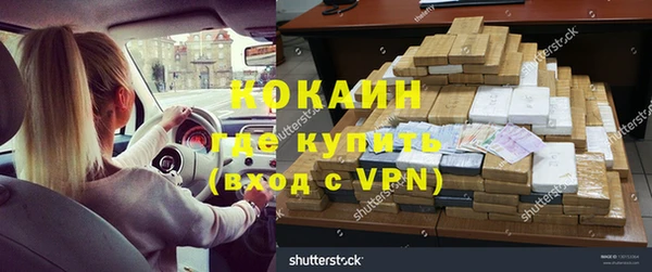 индика Алексин
