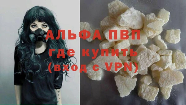 индика Алексин