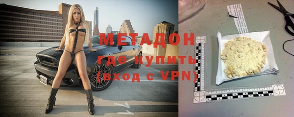 индика Алексин