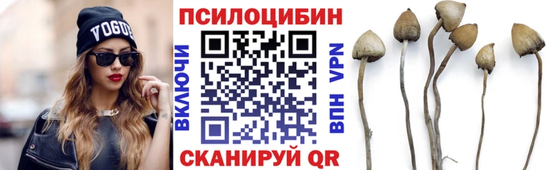 Галлюциногенные грибы ЛСД Шелехов